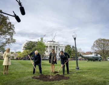 Mακρόν: Ο «θάνατος» μιας βελανιδιάς δεν χαλάει τη σχέση μας με τις ΗΠΑ