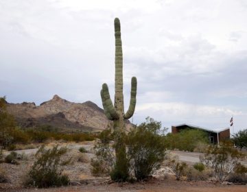 Εξάχρονη πέθανε στην έρημο της Αριζόνα ενώ η μητέρα έψαχνε νερό