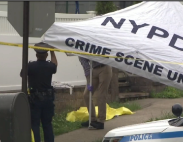 Γκάφα ή καλοστημένη πλάκα; Το «νεκρό παιδί» που αναστάτωσε τη Νέα Υόρκη ήταν τελικά… κούκλα