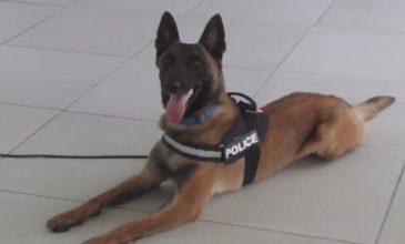 Ο σκύλος του Λιμενικού «μυρίστηκε» επτά διακινητές ναρκωτικών στη Μύκονο