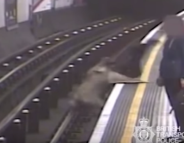 Ισόβια στον άνδρα που έσπρωξε έναν 91χρονο στις γραμμές του μετρό του Λονδίνου