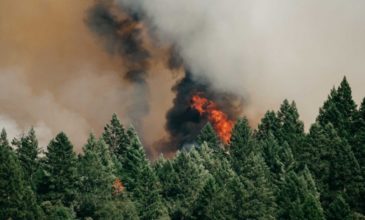 Μεγάλη πυρκαγιά σε δασική έκταση στη Ζάκυνθο