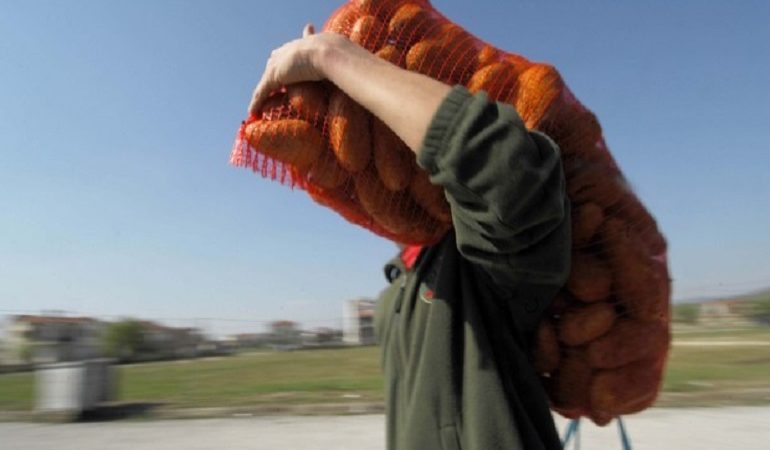 Η αστυνομία πρόλαβε κλοπή πατατών στη Θήβα