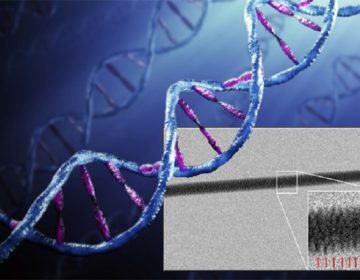 Ο Γολιάθ είχε καταγωγή από το Αιγαίο