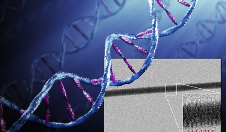 Γενετιστές κατάφεραν να «διαβάσουν» κομμάτι του DNA που έλειπε εδώ και 20 χρόνια