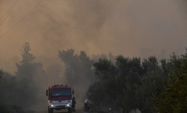 Πυρκαγιά σε δασική έκταση στη Λευκάδα
