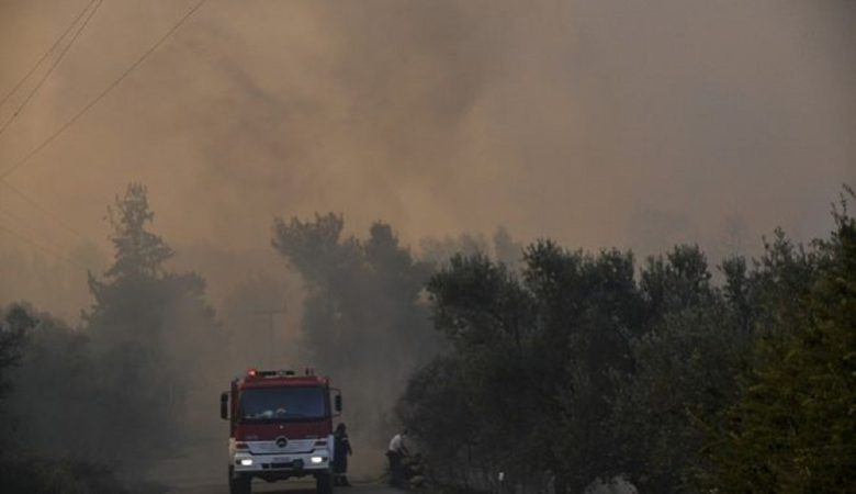 Πυρκαγιά σε δασική έκταση στη Λευκάδα