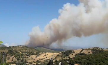 Εκκενώθηκε χωριό στην Εύβοια λόγω της πυρκαγιάς στα Μανίκια