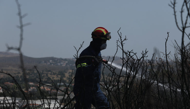 Μάχη με τις φλόγες δίνουν οι Πυροσβέστες στη Φθιώτιδα
