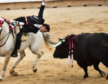 Ισπανία: Πέντε τραυματίες από ταύρους στο ετήσιο φεστιβάλ της Παμπλόνα