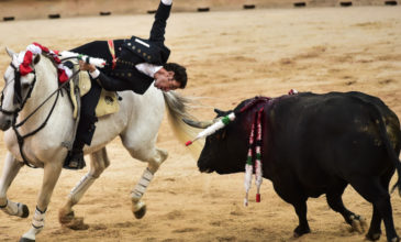 Ισπανία: Πέντε τραυματίες από ταύρους στο ετήσιο φεστιβάλ της Παμπλόνα