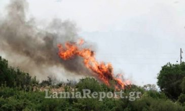 Εικόνες και βίντεο από τη μεγάλη φωτιά στη Δίρβη που απείλησε σπίτια