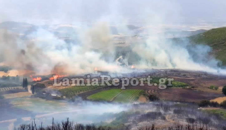 Μεγάλη φωτιά απείλησε σπίτια στο χωριό Δίβρη, βόρεια της Λαμίας