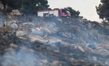 Φωτιά ξέσπασε στον Ασπρόπυργο Αττικής