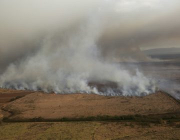 Σε κατάσταση έκτακτης ανάγκης το νησί Μάουι της Χαβάη