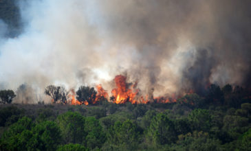 Υψηλότατος κίνδυνος πυρκαγιάς σήμερα σε Αττική και Στερεά Ελλάδα