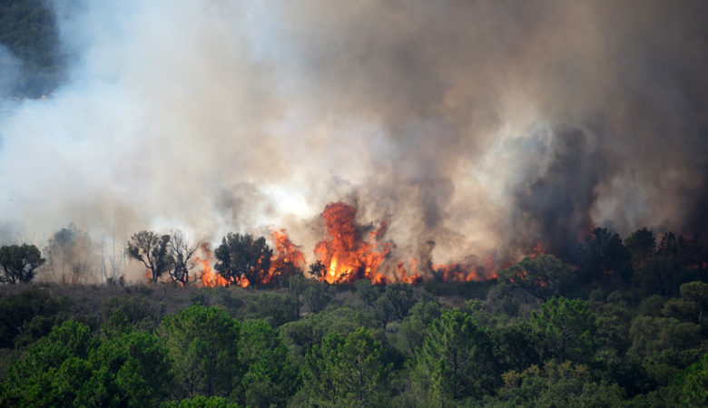 Υψηλότατος κίνδυνος πυρκαγιάς σήμερα σε Αττική και Στερεά Ελλάδα