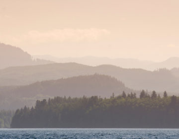 Το απόλυτο ρεκόρ ζέστης καταγράφηκε στον Βόρειο Πόλο