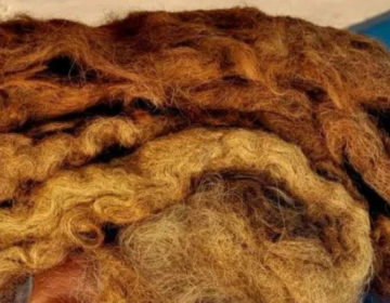 63χρονος έχει να πλύνει τα μαλλιά του 40 χρόνια, έχει ράστα 2 μέτρων