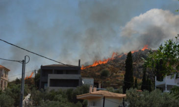 Απείλησε σπίτια η φωτιά που ξέσπασε στο Ναύπλιο