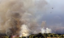 SOS για τον πλανήτη: Οι μεγάλες δασικές πυρκαγιές καταστρέφουν το όζον στη στρατόσφαιρα