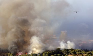 Μάχη με τις φλόγες δίνουν 900 πυροσβέστες στην Πορτογαλία