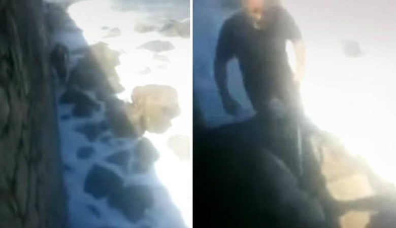 Κρήτη: Πέταξαν σκύλο μέσα στη θάλασσα και πάλευε με τα κύματα