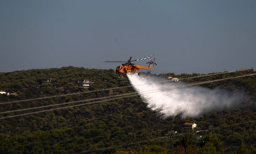 Πυρκαγιά σε δασική έκταση στην Τρίπολη