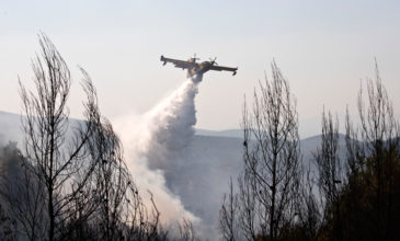 Υπό μερικό έλεγχο η πυρκαγιά στο Μαρκόπουλο – Οριοθετήθηκε η φωτιά στην Ερατεινή Φωκίδας