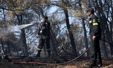 Υπό μερικό έλεγχο τέθηκαν οι πυρκαγιές σε Ραφήνα και Κεφαλονιά
