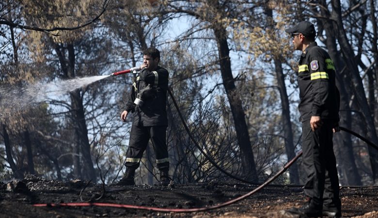 Υπό μερικό έλεγχο τέθηκαν οι πυρκαγιές σε Ραφήνα και Κεφαλονιά