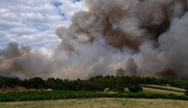 Πυρκαγιά σε δασική έκταση στην Τανάγρα
