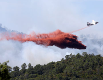 Χιλιάδες στρέμματα καλλιεργειών στη Γαλλία απανθρακώθηκαν από πυρκαγιές λόγω καύσωνα