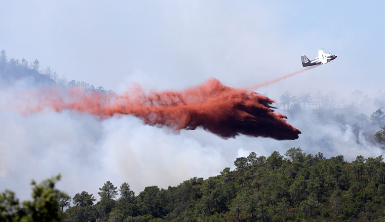 Χιλιάδες στρέμματα καλλιεργειών στη Γαλλία απανθρακώθηκαν από πυρκαγιές λόγω καύσωνα