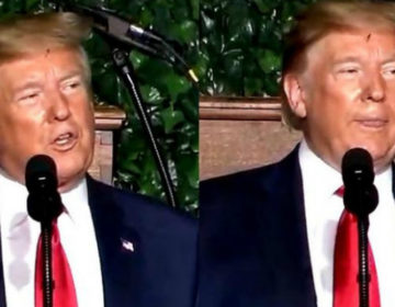 Έντομο «κόλλησε» στα μαλλιά του Τραμπ και το Twitter πήρε «φωτιά»