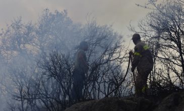Υπό μερικό έλεγχο η πυρκαγιά στο Κουτσοπόδι Αργολίδας