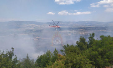 «Μάχη» με τις φλόγες δίνουν οι πυροσβέστες στην Τιθορέα Φθιώτιδος