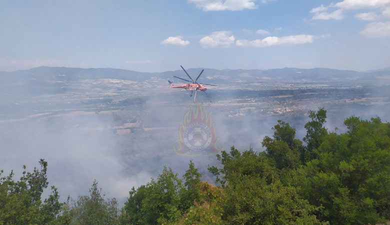 «Μάχη» με τις φλόγες δίνουν οι πυροσβέστες στην Τιθορέα Φθιώτιδος