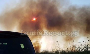 Πυρκαγιά σε τέσσερα μέτωπα μεταξύ Αμφίκλειας και Τιθορέας