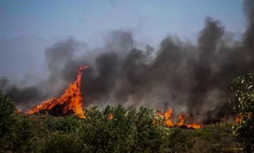 Χωρίς κίνδυνο επέκτασης η πυρκαγιά στην Ελαφόνησο