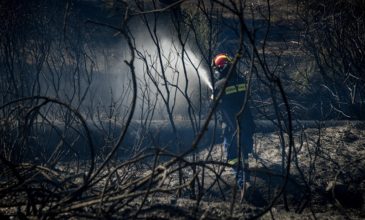 Οριοθετήθηκε η πυρκαγιά στον Μαραθώνα – Σε επιφυλακή η Πυροσβεστική