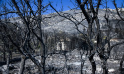 Στοιχεία σοκ για τις πυρκαγιές – Το 23% του πρασίνου της Αττικής κάηκε την τελευταία επταετία