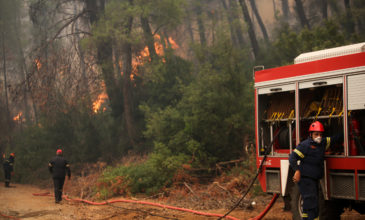 Πυρκαγιά στη Σαλαμίνα: Εκκενώνεται οικισμός