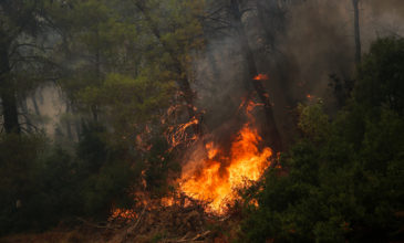Πυρκαγιά σε αγροτοδασική έκταση στα Μέθανα Τροιζηνίας