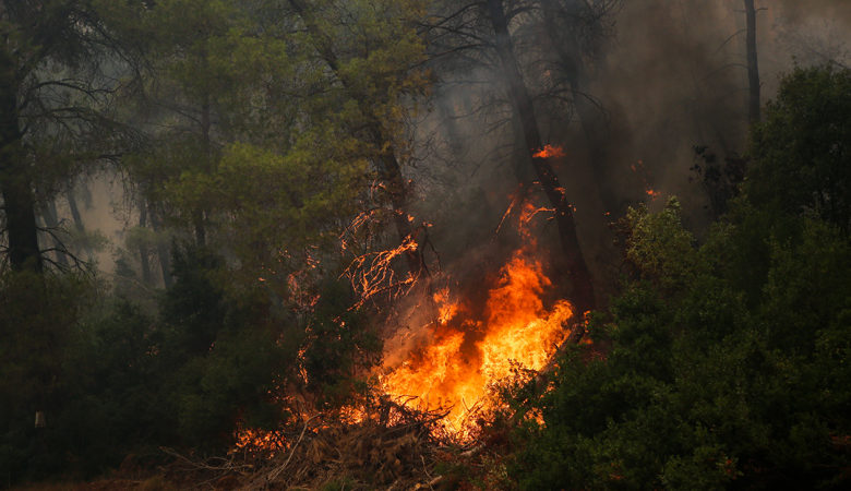 Πυρκαγιά σε δασική έκταση στον Άγιο Νικόλαο Κρήτης