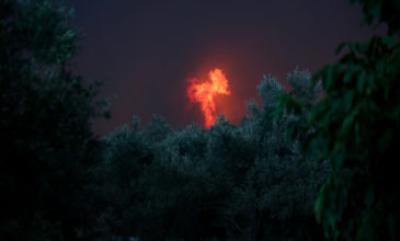 Νέα πυρκαγιά ξέσπασε στην Εύβοια