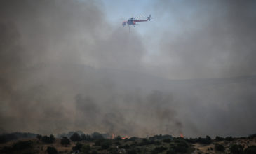 Σε ετοιμότητα για εκκένωση δύο ακόμη χωριά στην Εύβοια – Σε πλήρη εξέλιξη η πυρκαγιά που καίει δάσος Natura