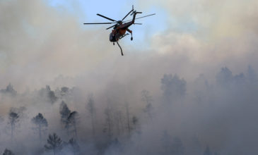 Η φωτιά στην Εύβοια όπως την κατέγραψε drone της Πυροσβεστικής