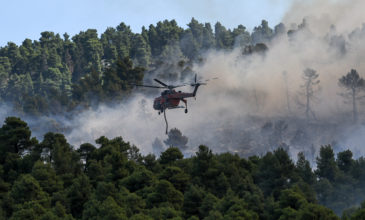 Πυρκαγιά σε χορτολιβαδική έκταση την Κέρκυρα