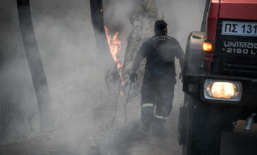 Πυρκαγιά στην Εύβοια: Τρόμος στην Κάρυστο για τις αναζωπυρώσεις